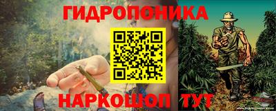 кокс Кимры