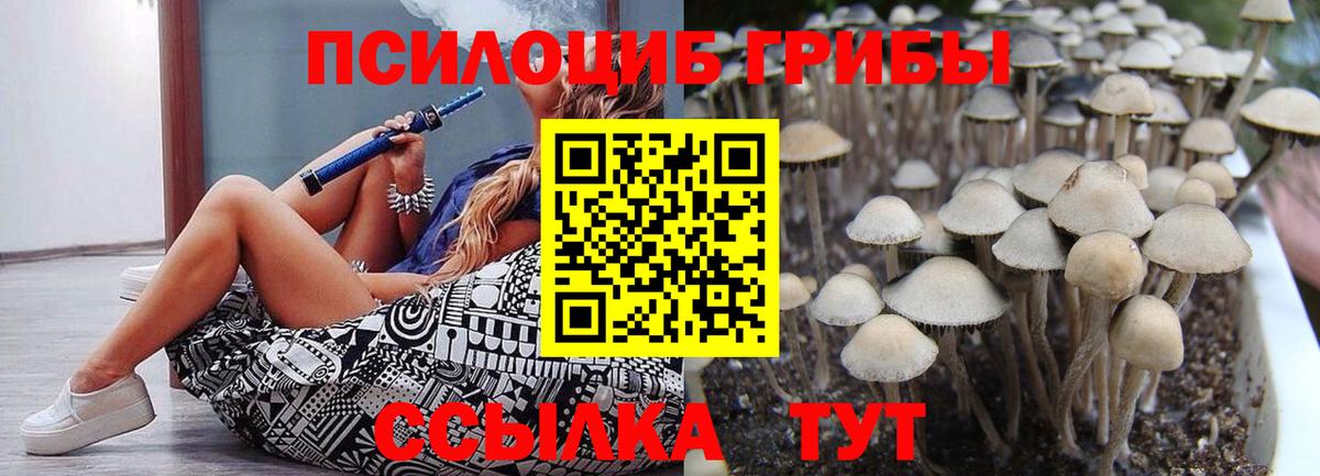 что такое   Псилоцибиновые грибы Magic Shrooms  Вход с VPN  Камышлов  Псилоцибиновые грибы GOLDEN TEACHER 