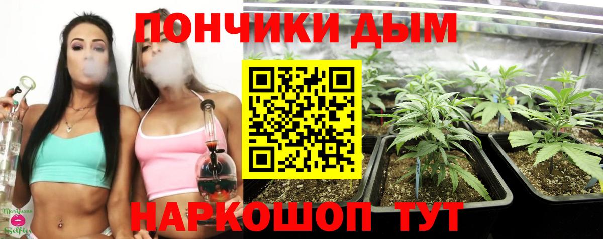Шишки марихуана AK-47  Бошки Шишки ГИДРОПОН  Шишки марихуана VHQ  Канабис LSD WEED  Вход с VPN  Камышлов 